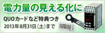 �d�͗ʂ̌����鉻�� / QUO�J�[�h�ȂǓ��T�� /  2013�N8��31��(�y)�܂�
